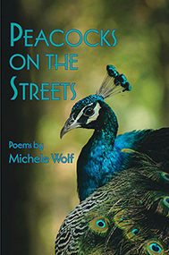 Peacocks on the Streets by Michele Wolf